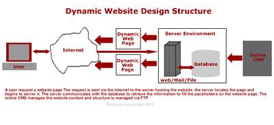 Dynamic Website Design