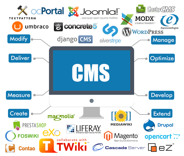 CMS Web Development websites