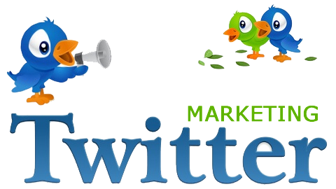 Twitter marketing company in Delhi
